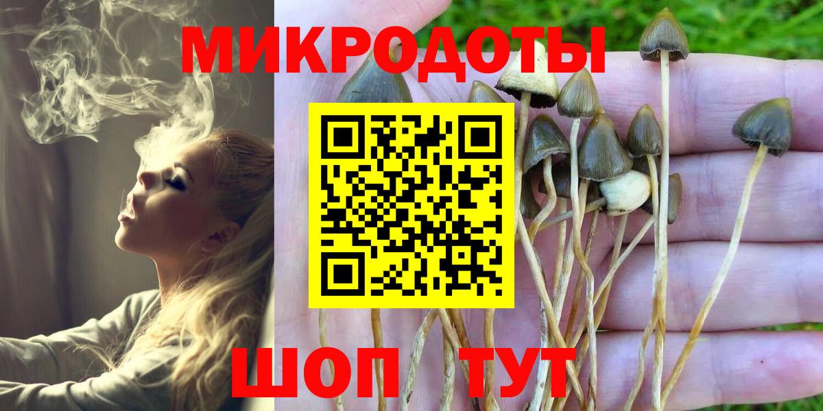 Гусев  Галлюциногенные грибы MAGIC MUSHROOMS  Вход с VPN 